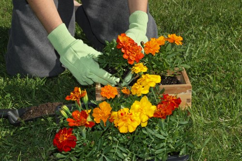 Professional gardeners working in a Queens Park garden